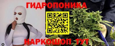 гашик Балаково