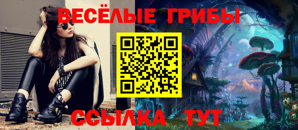 Галлюциногенные грибы Psilocybe Воскресенск